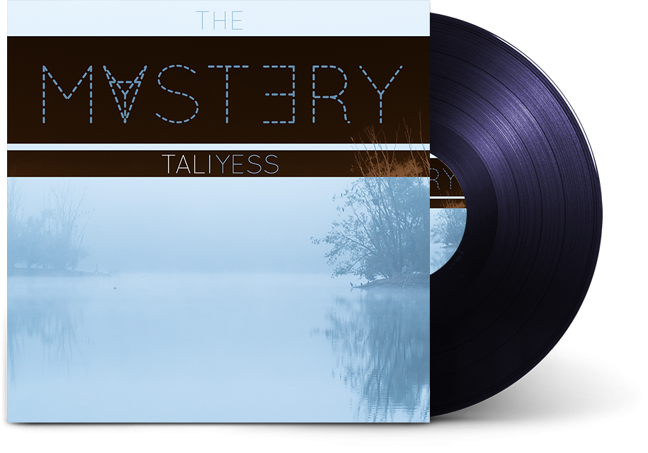 The Mystery by Tali Yess